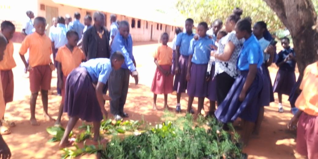 Tree planting Gandini Primary School – Associazione Watoto Kenya ODV